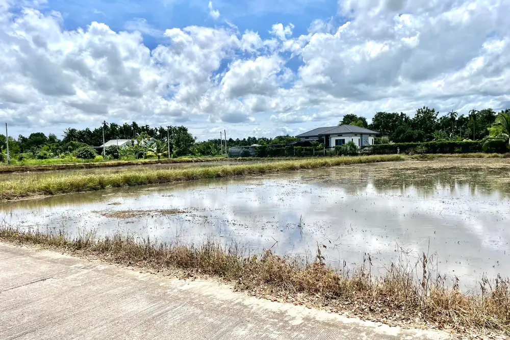 S__252436491