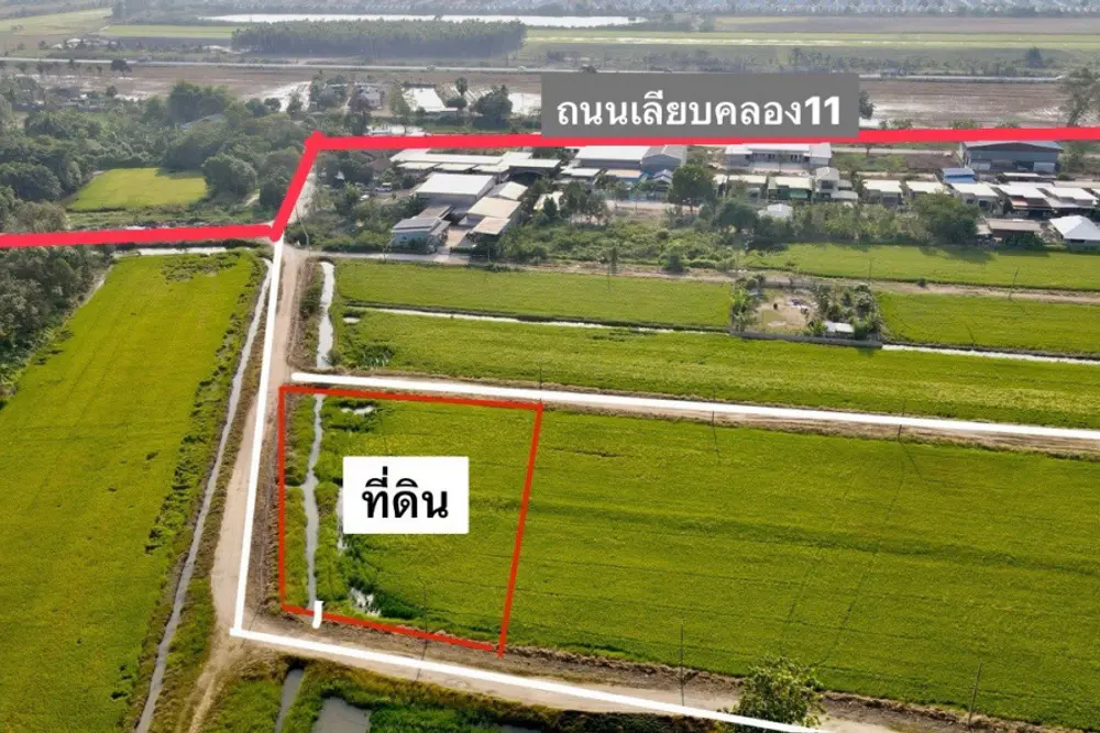 ดาวน์โหลด (1)