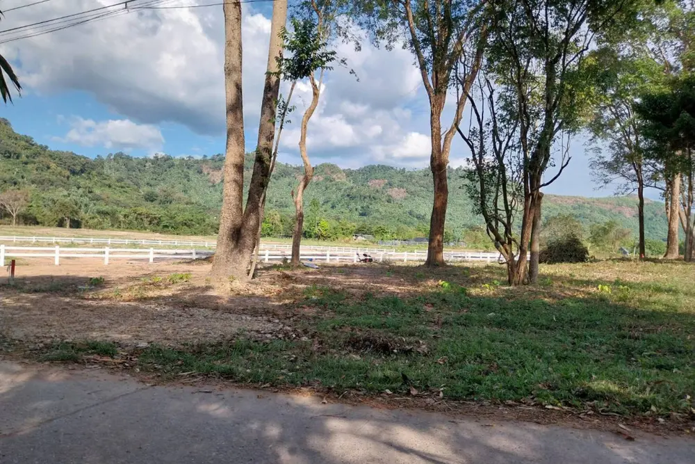 ดาวน์โหลด (2)