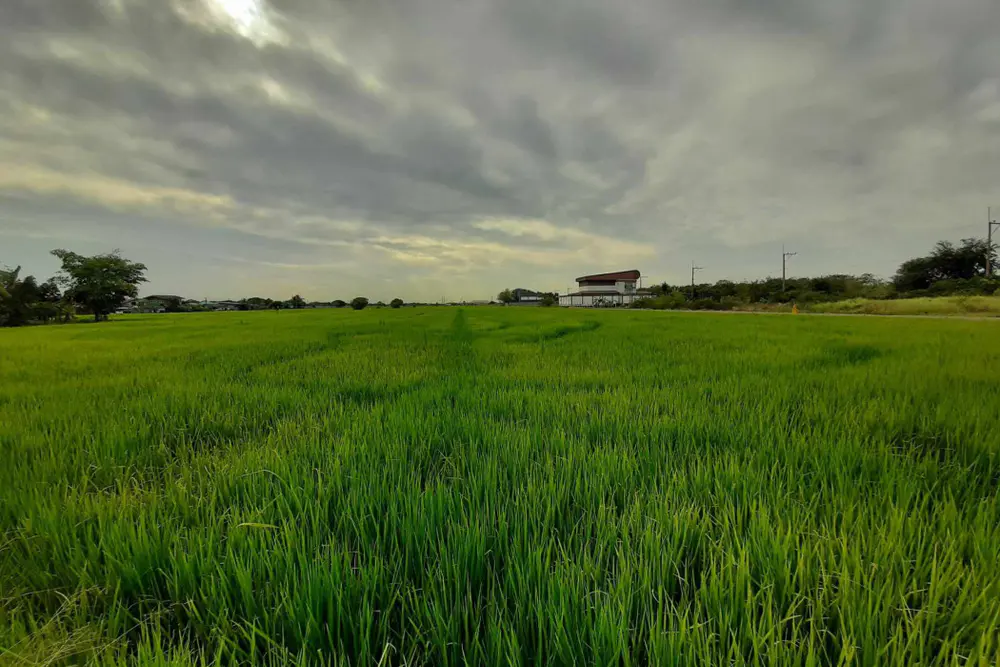 ดาวน์โหลด (2)