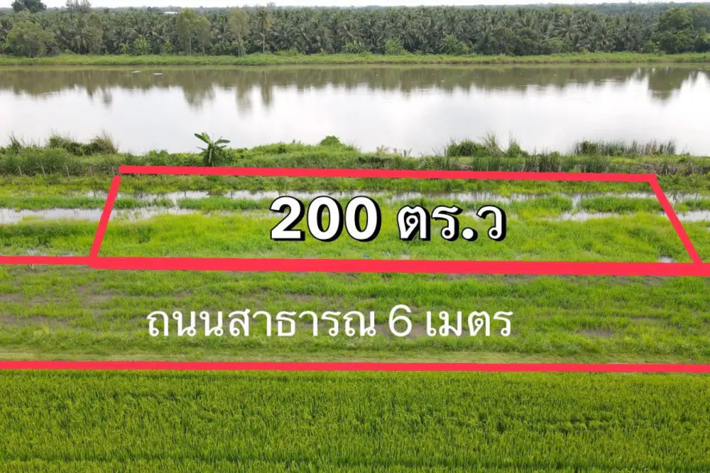 ดาวน์โหลด (2)