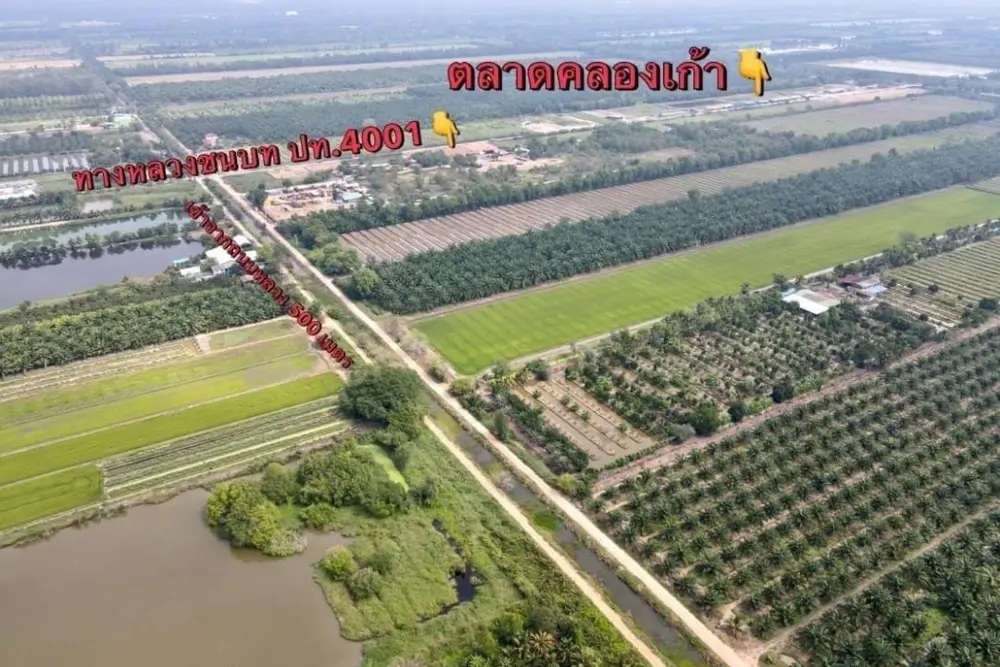 ดาวน์โหลด (4)