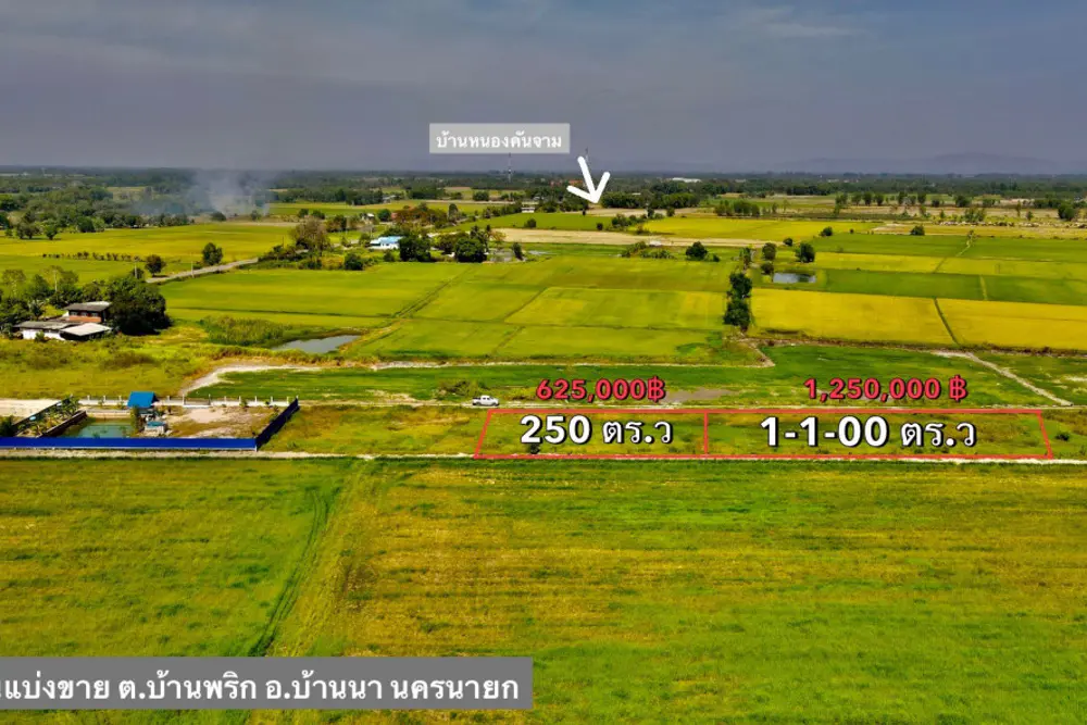 ดาวน์โหลด (6)