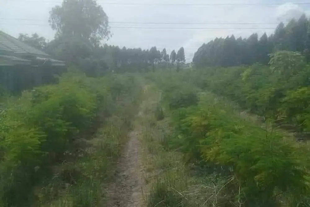 timeline_20231114_153946