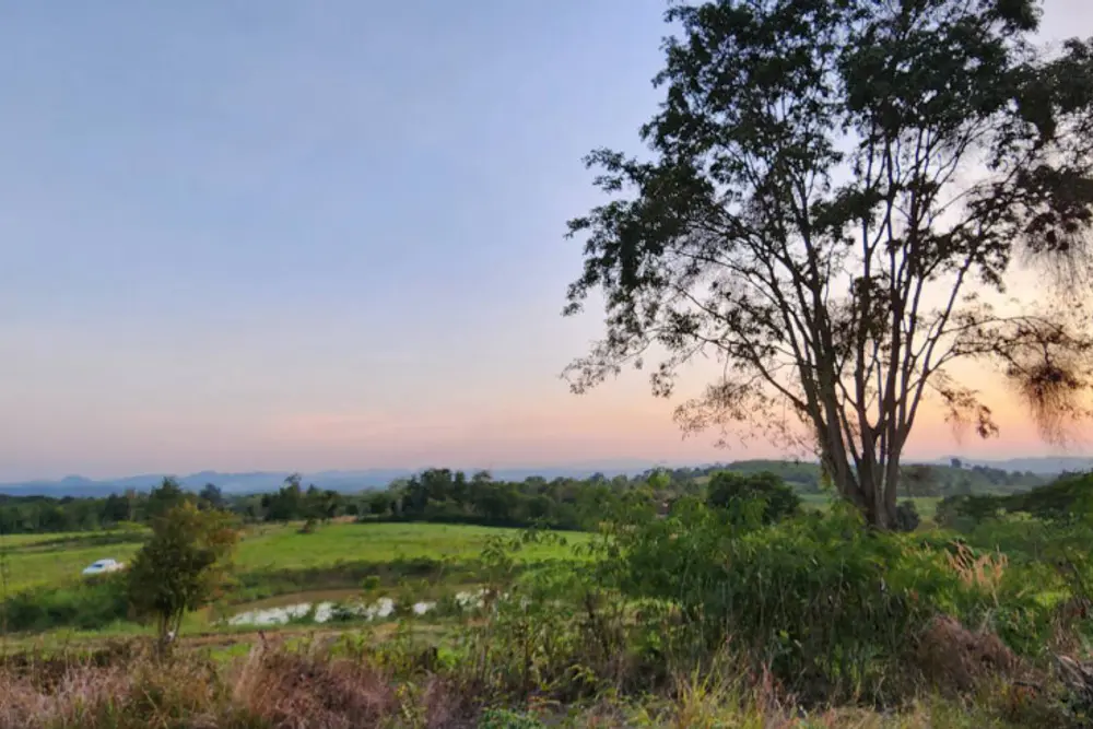 ดาวน์โหลด (10)