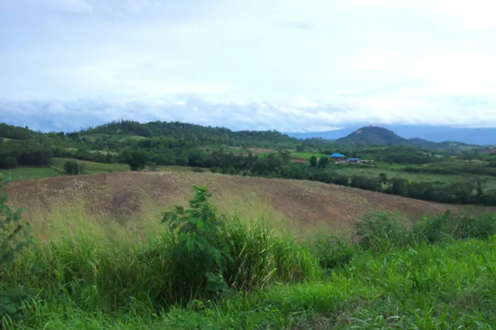 ดาวน์โหลด (10)