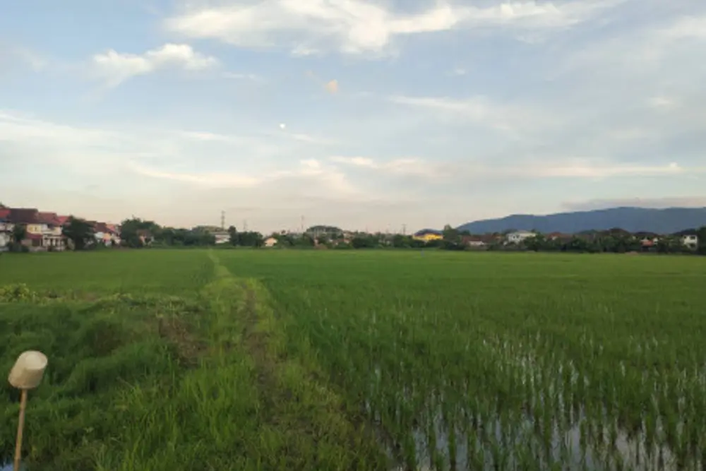 ดาวน์โหลด (3)