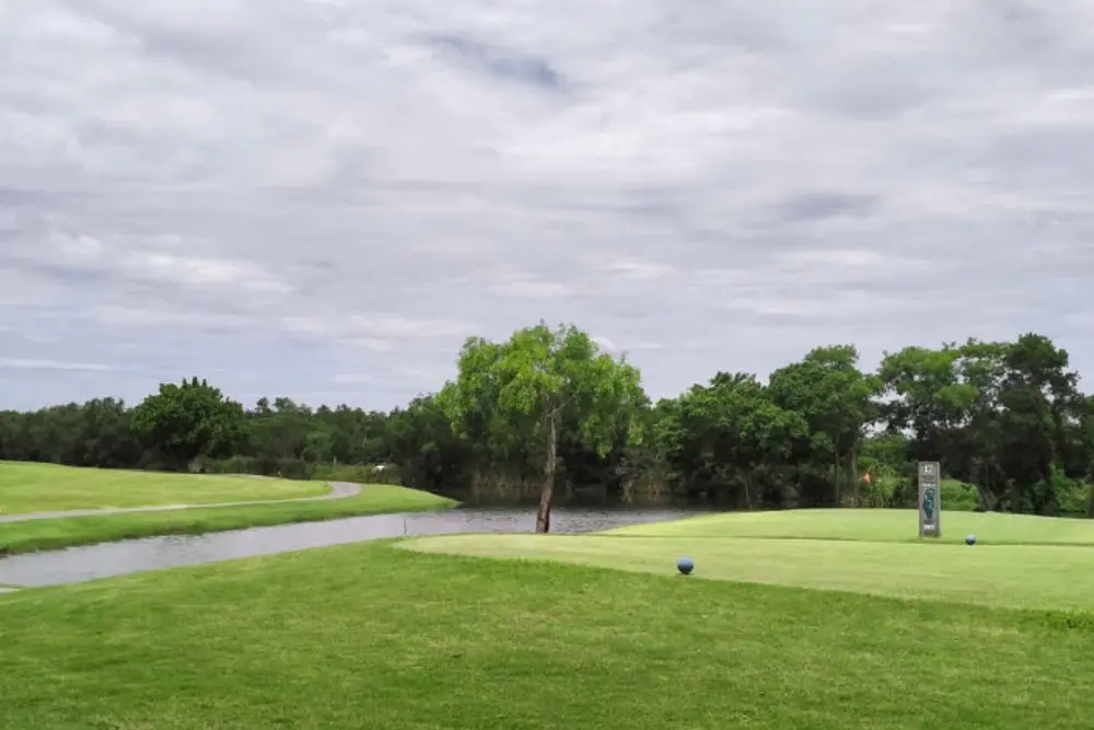 ดาวน์โหลด (4)