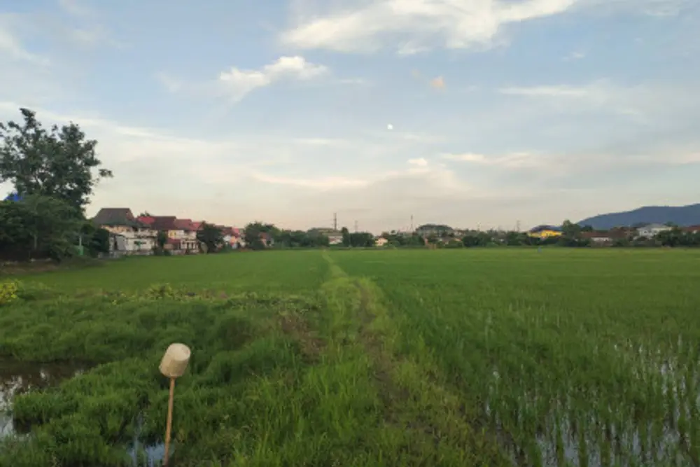 ดาวน์โหลด (4)
