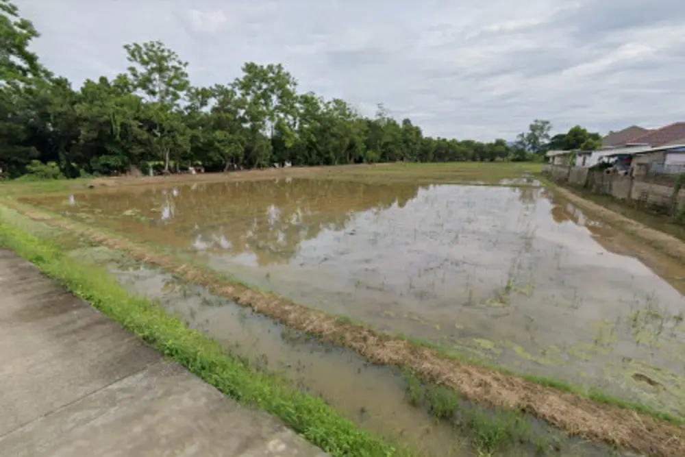 ดาวน์โหลด (5)