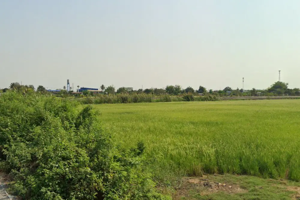 ดาวน์โหลด (5)