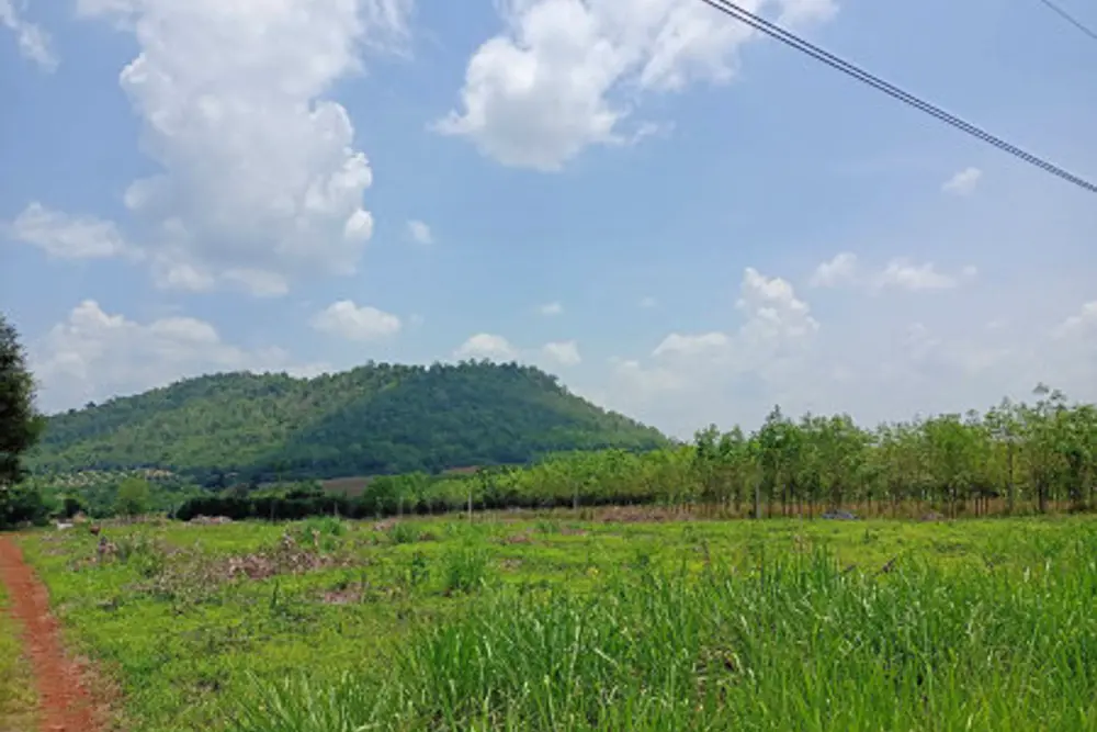 ดาวน์โหลด