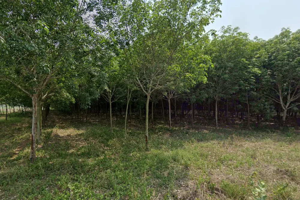 ภาพหน้าจอ_061723_045933_PM