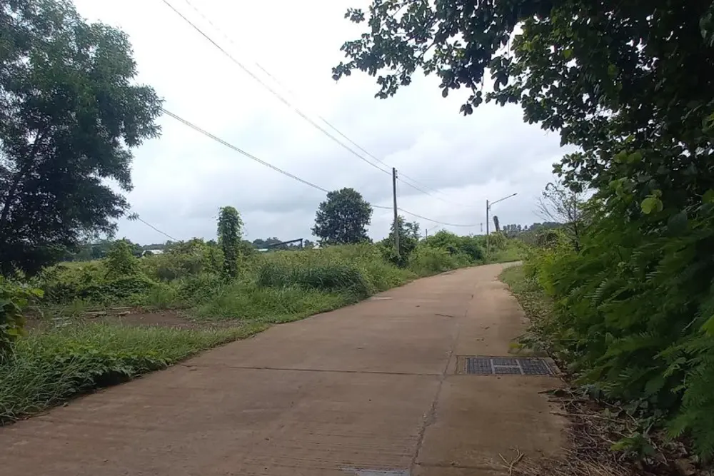 ภาพหน้าจอ_101524_015633_PM