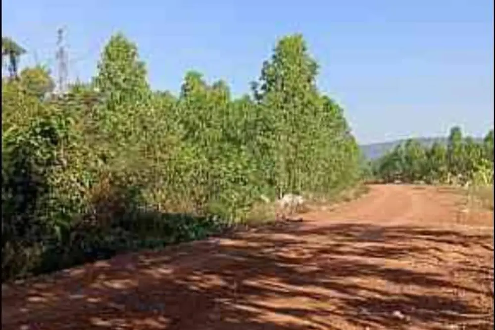 timeline_20220513_153003