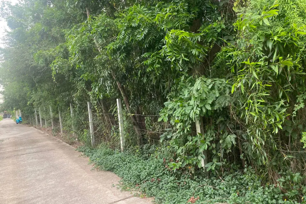 timeline_20230703_084706