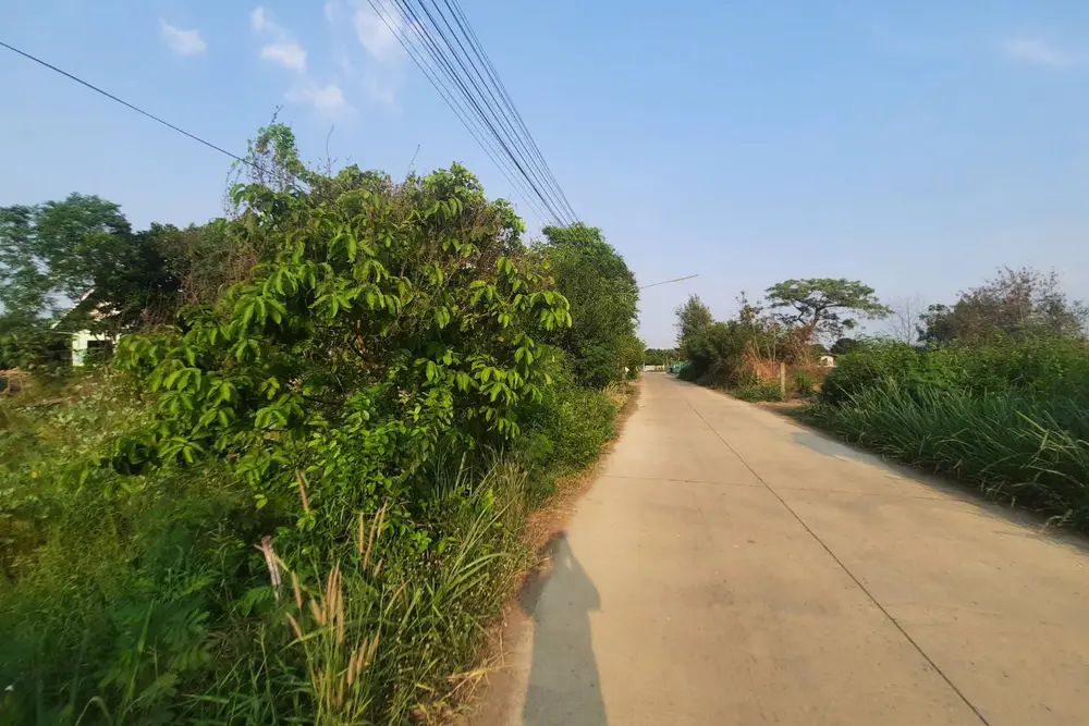 timeline_20210327_165557
