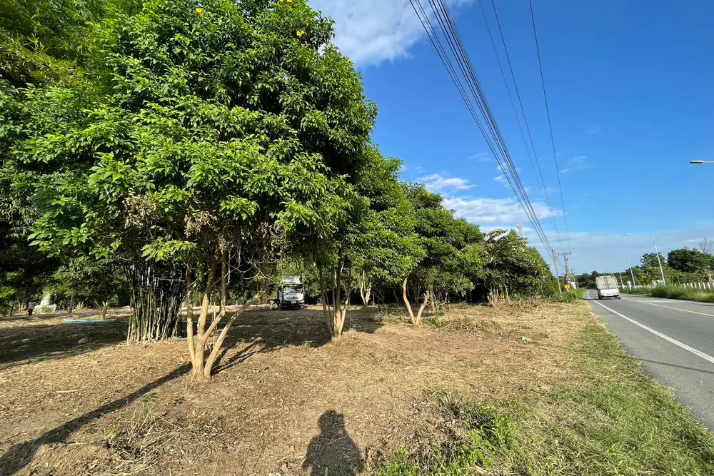 465591822_1677972889712800_3337053140936008594_n