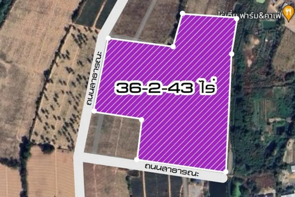 1736849006977_NEW