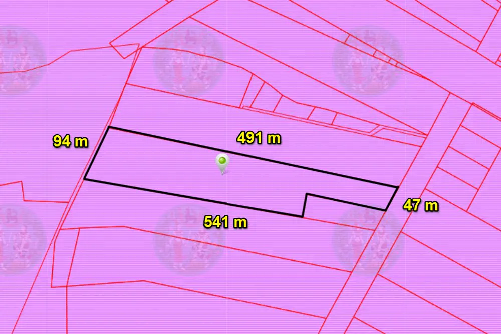 ผังสี
