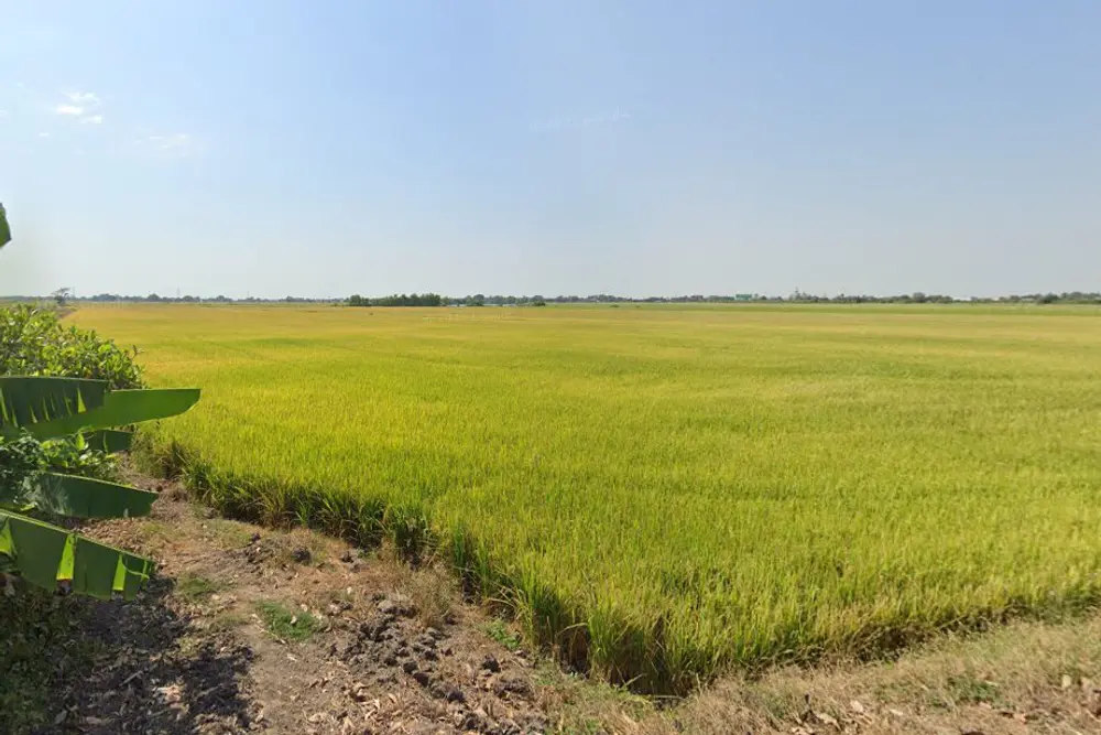 ภาพหน้าจอ_080524_044207_PM