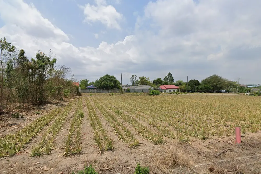 ภาพหน้าจอ_111723_020120_PM