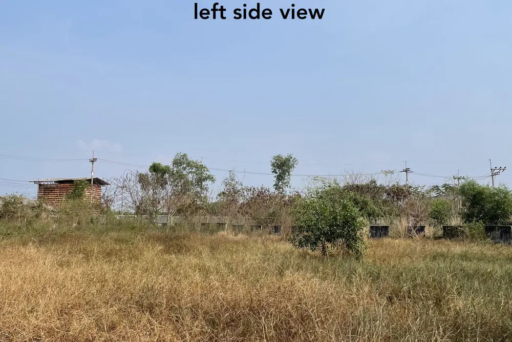 Left side view