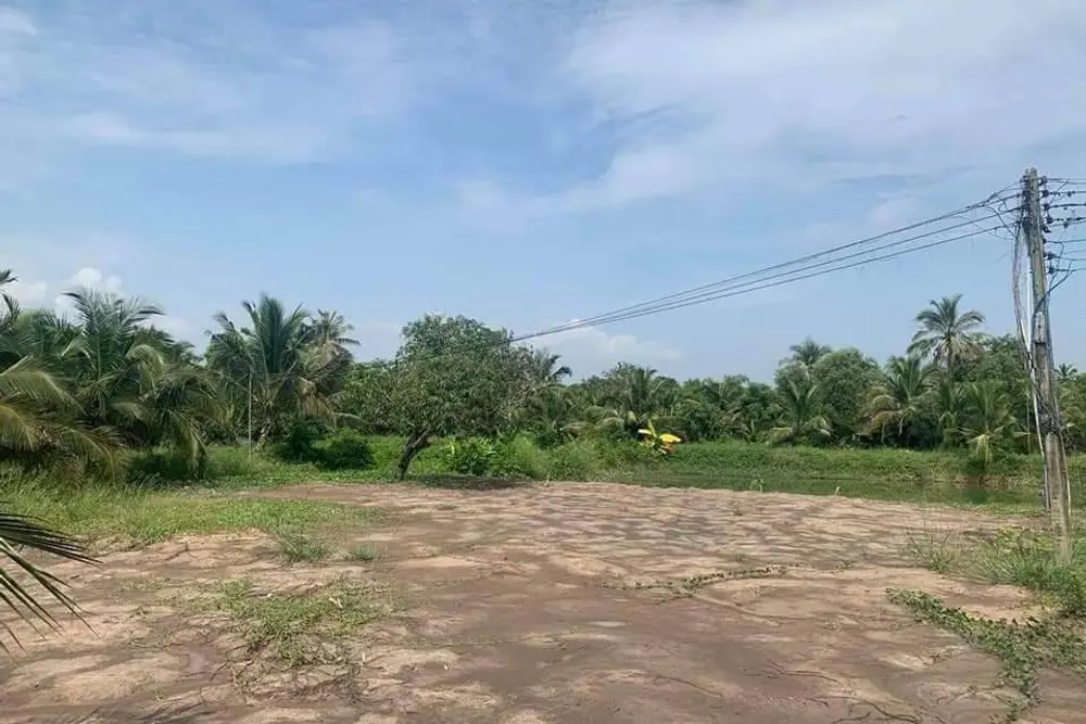 timeline_20210803_100956