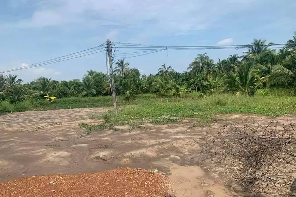 timeline_20210803_101001