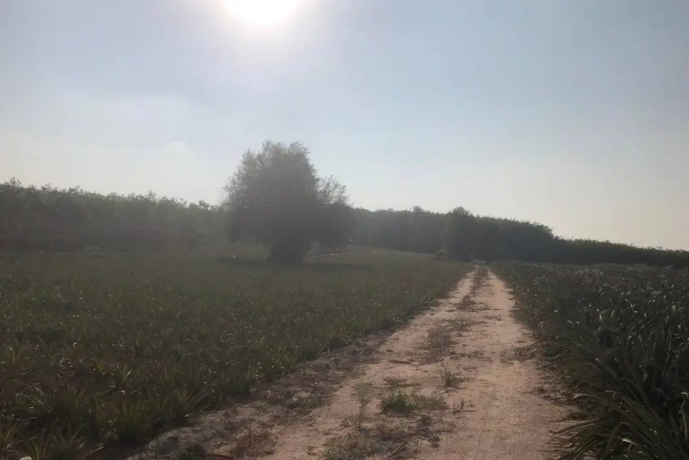 timeline_20230505_084819