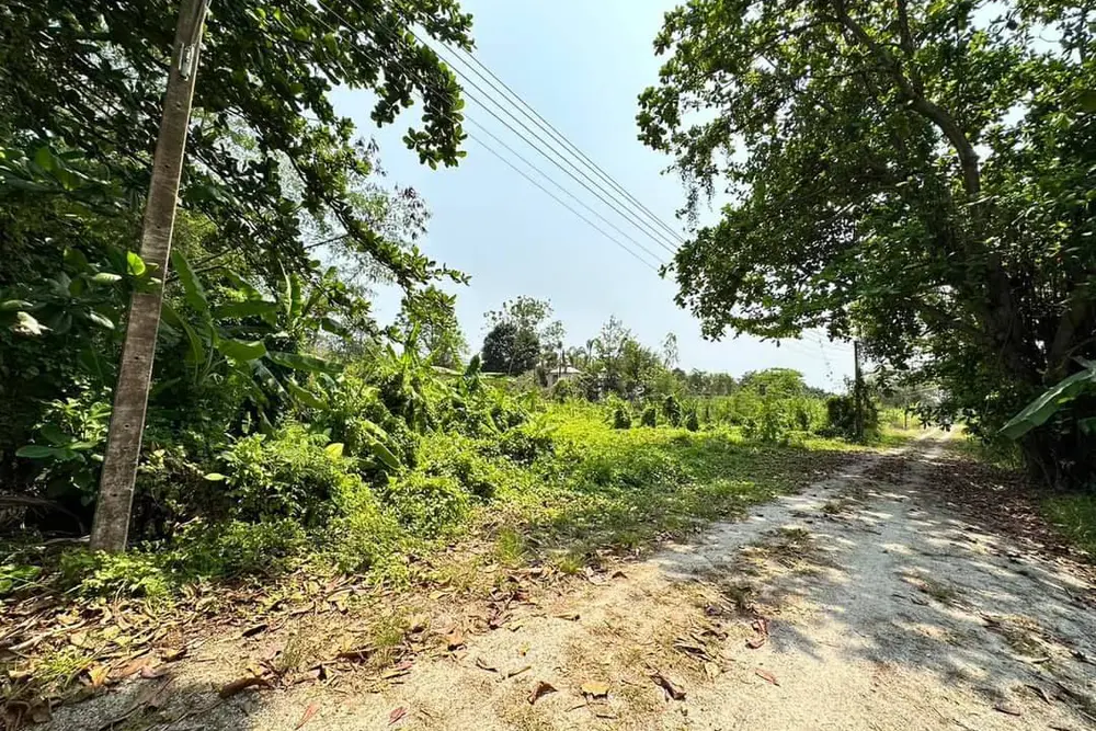 timeline_20230512_162048