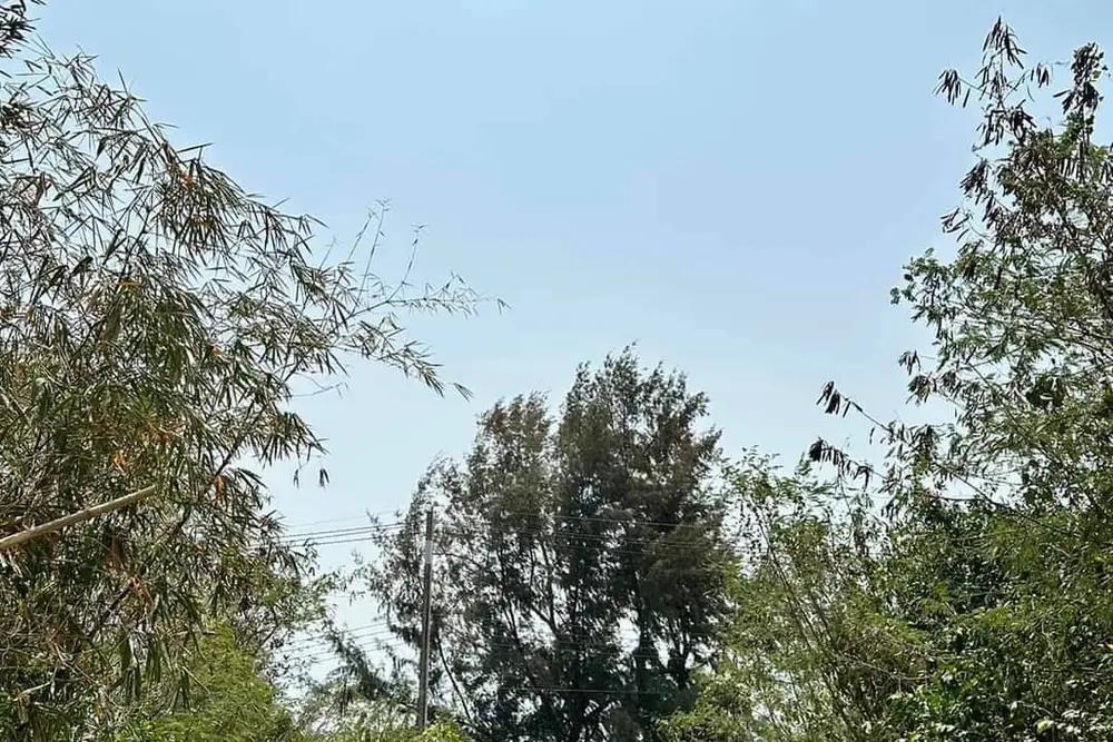 timeline_20230512_162052