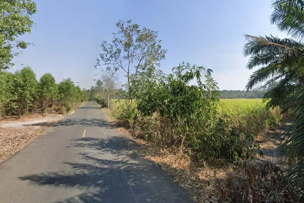 ภาพหน้าจอ_030625_033829_PM