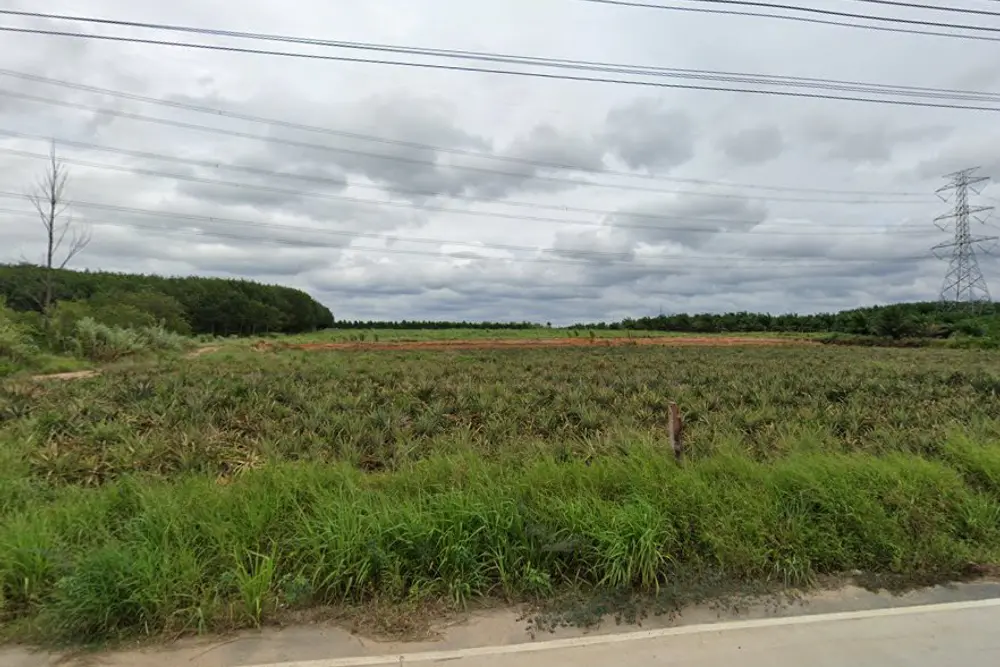 ภาพหน้าจอ_031425_033623_PM