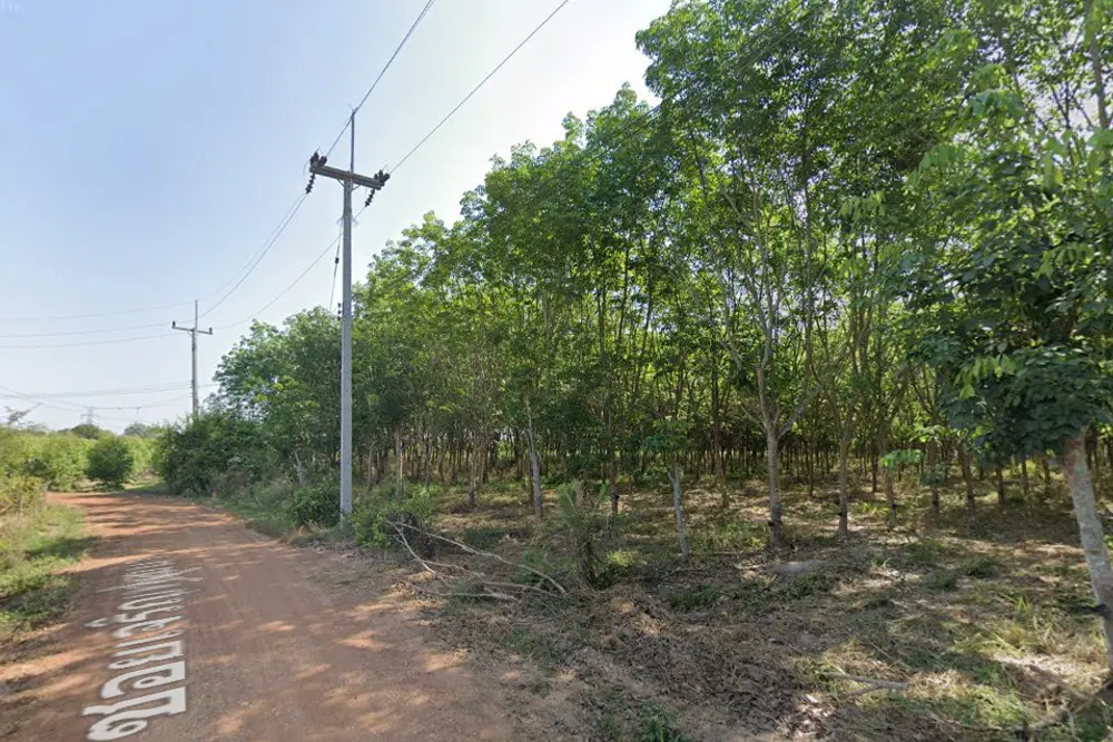 ภาพหน้าจอ_020623_024606_PM