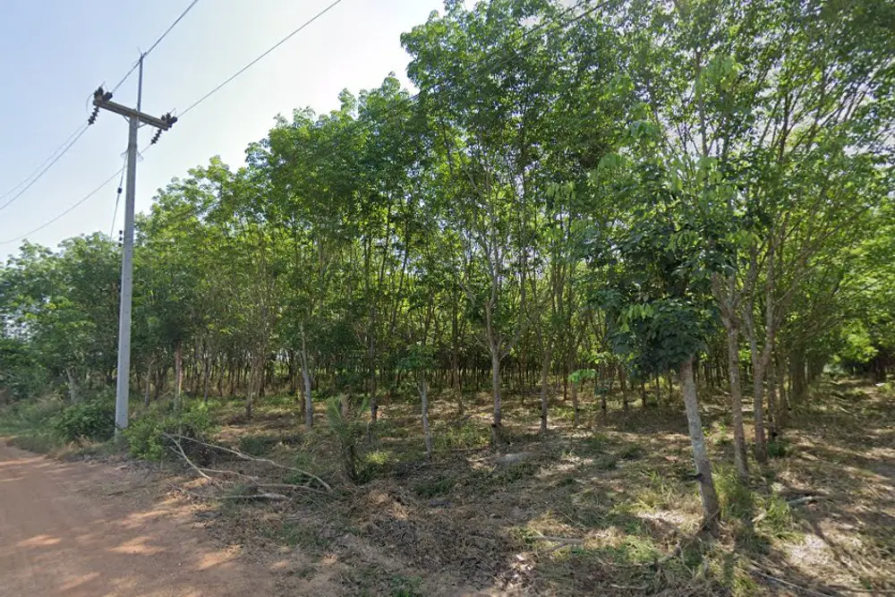 ภาพหน้าจอ_020623_024619_PM