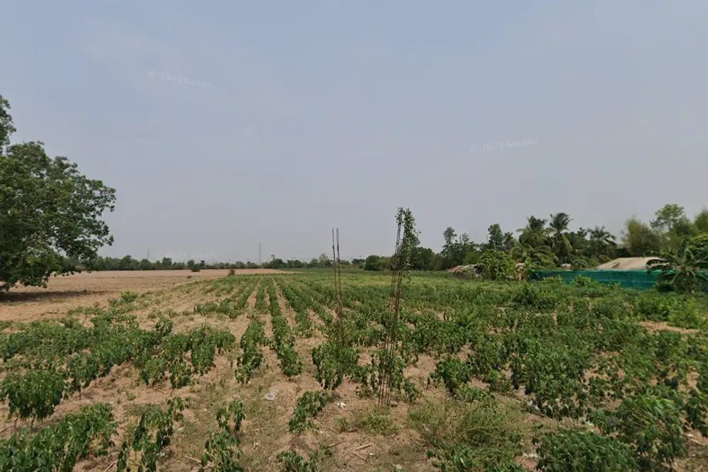 ภาพหน้าจอ_040825_024124_PM