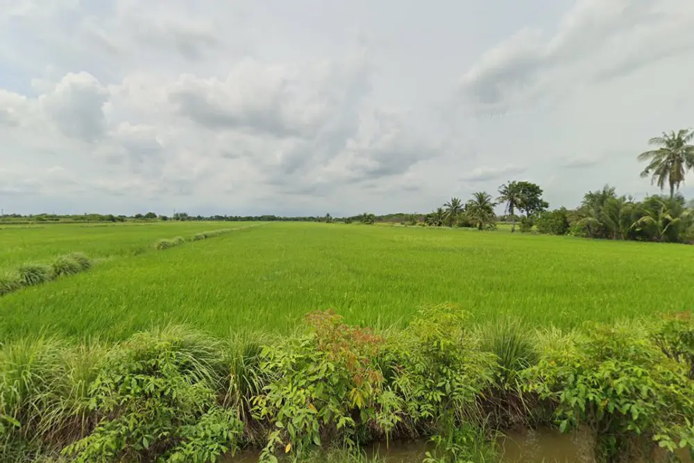 ภาพหน้าจอ_042925_094902_AM