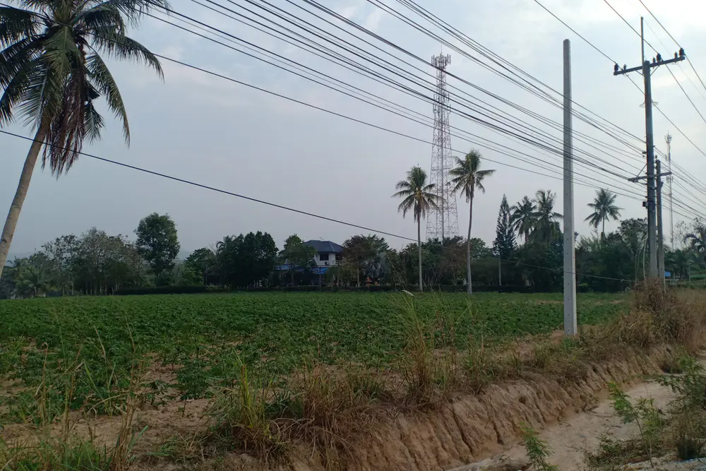 oppo_2