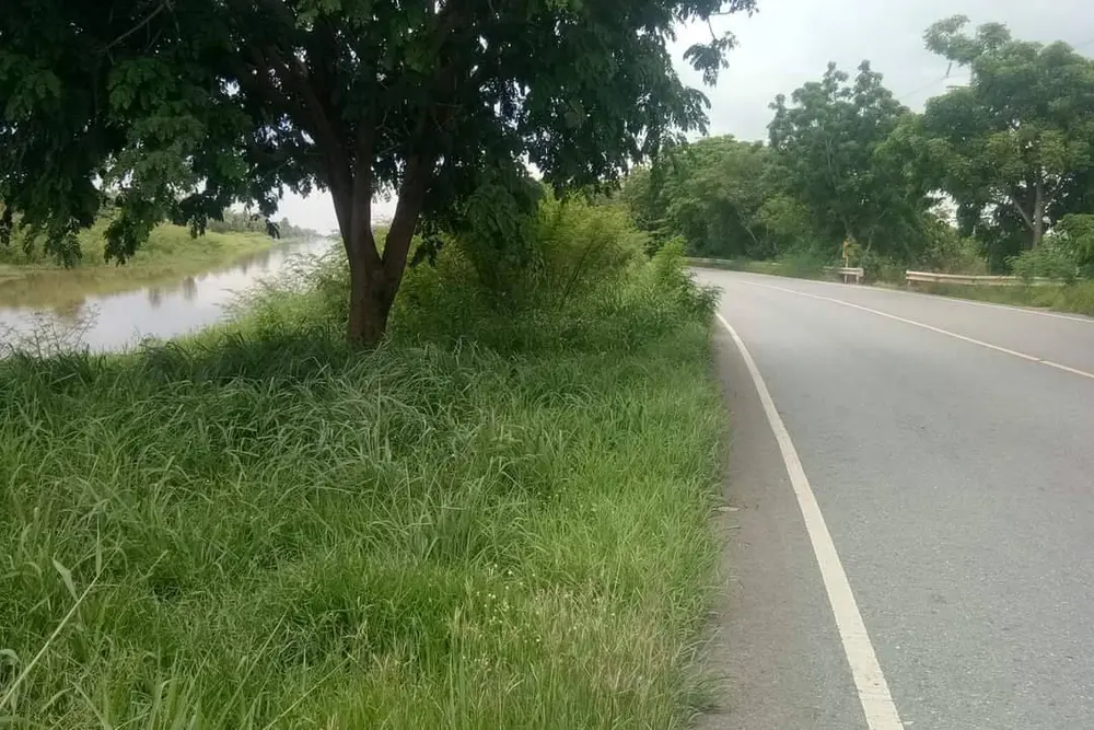 timeline_20210803_083444