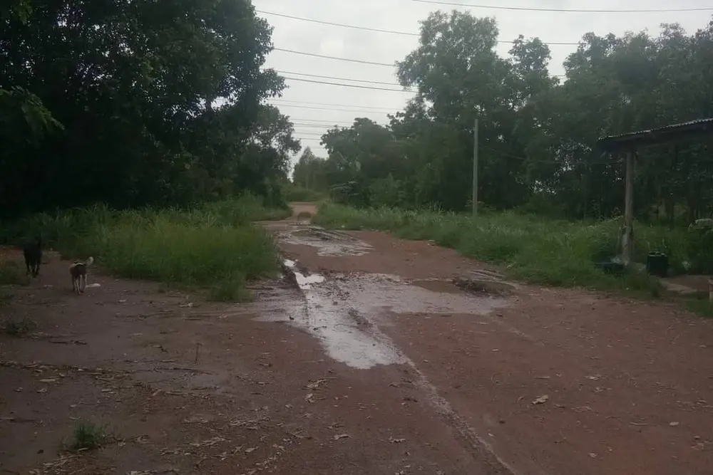 timeline_20210803_083449