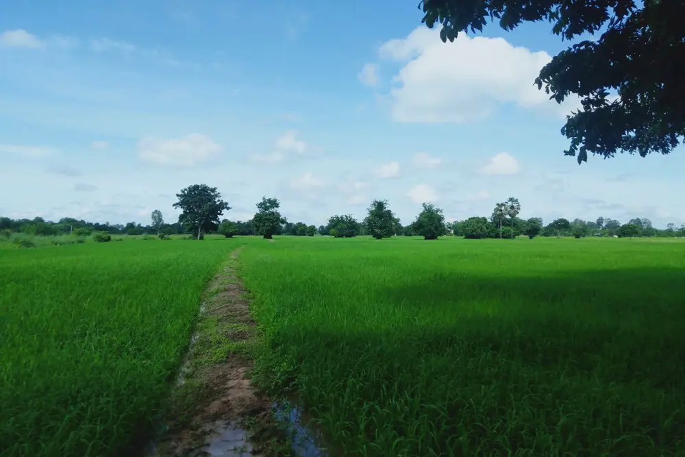 timeline_20211206_163123