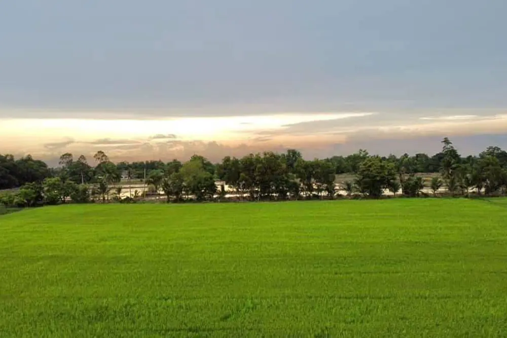 timeline_20220312_105718