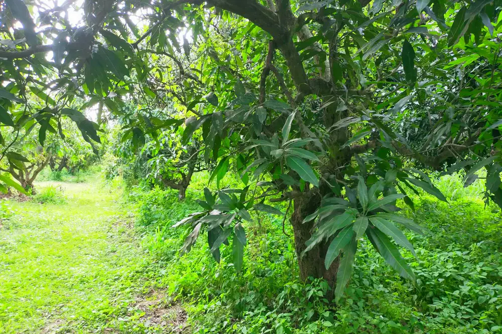 timeline_20220607_090824_0