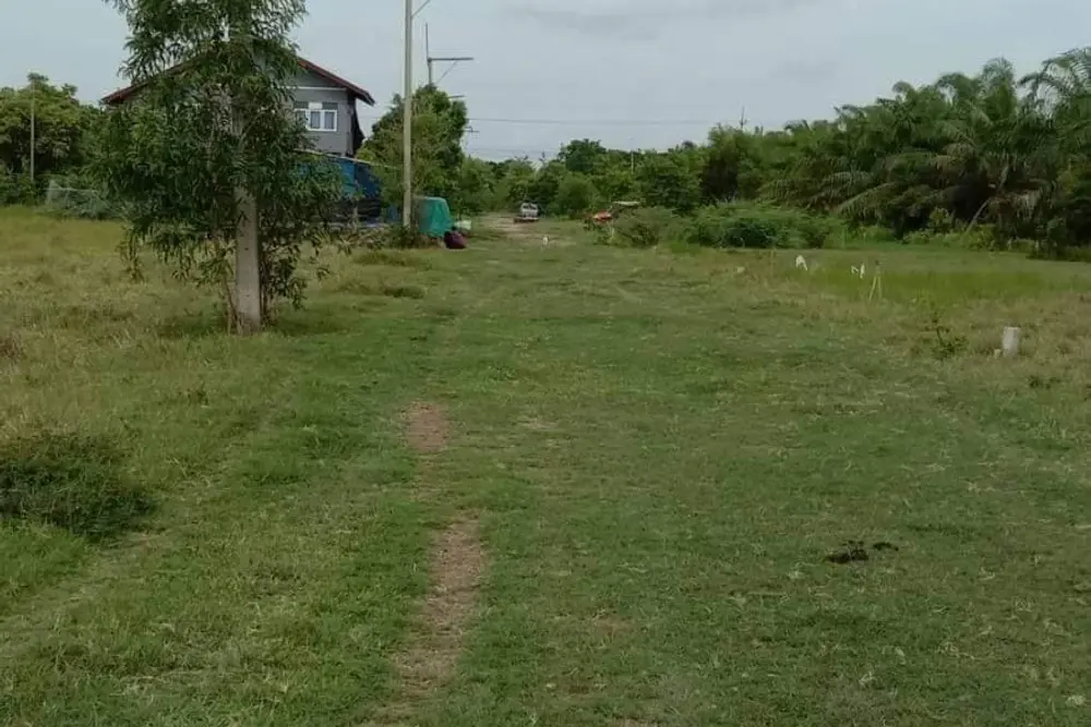 timeline_20221025_082204