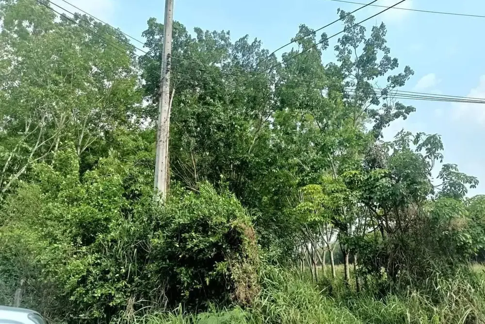 timeline_20230201_160028