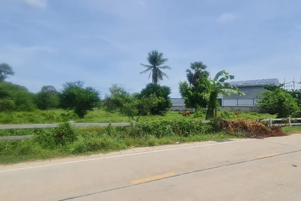ภาพหน้าจอ_050325_111648_AM