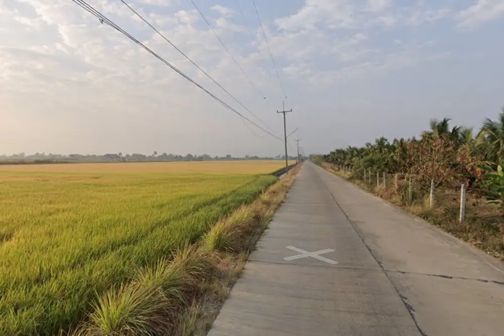 ภาพหน้าจอ_061425_022426_PM