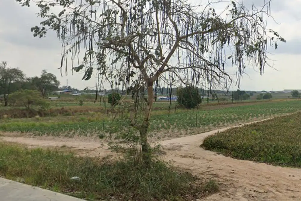 ภาพหน้าจอ_092325_014827_PM