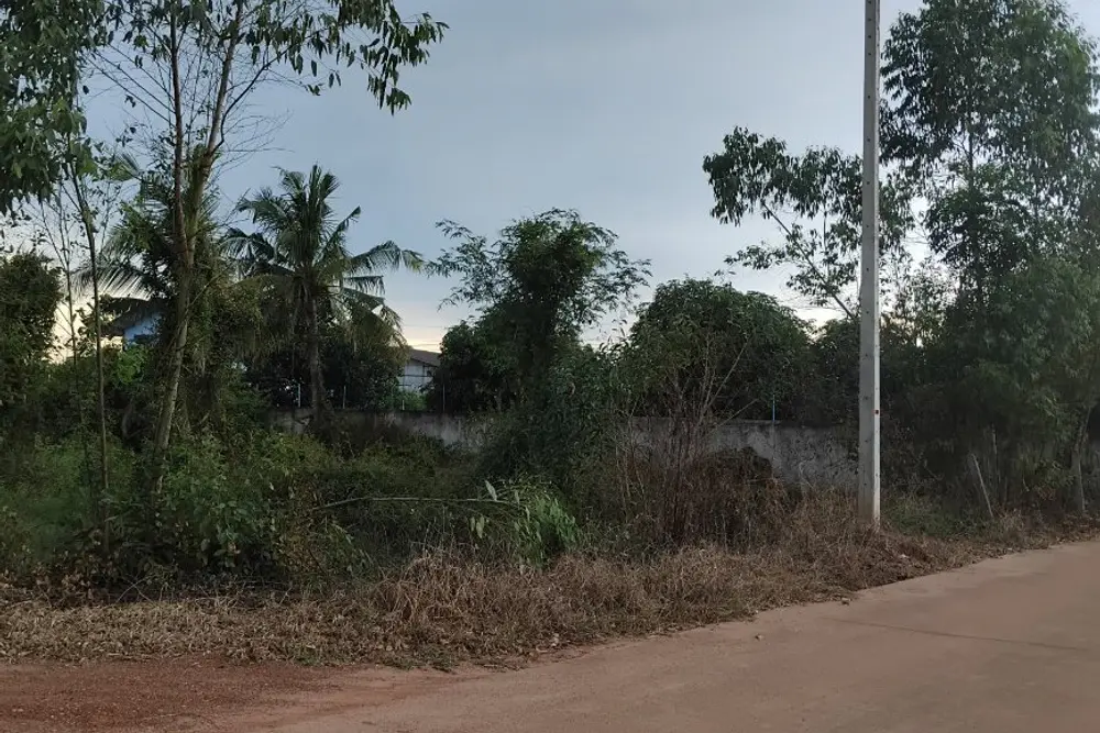 ภาพหน้าจอ_101125_104153_AM
